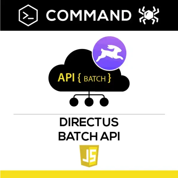 Directus Batch API
