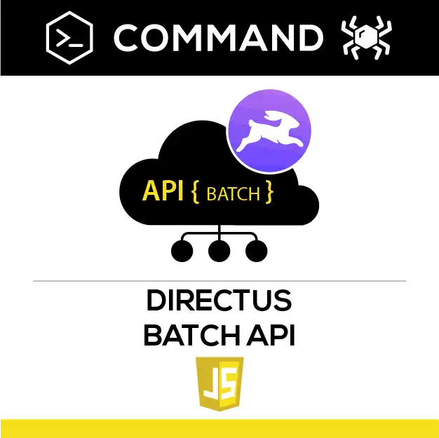 Directus Batch API